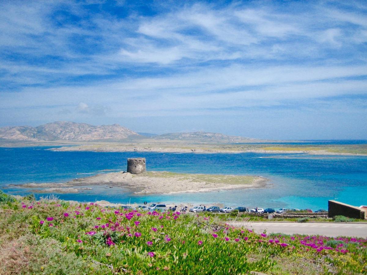Apartment Arianna 150mt From Beach