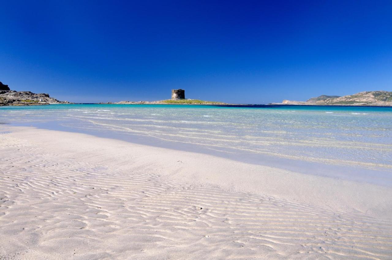 Apartment Arianna 150mt From Beach